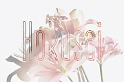 AURATIUM Regular & Slab Typeface, a Slab Serif Font by Alex-Banks Type (Thumbnail 12 of 13)