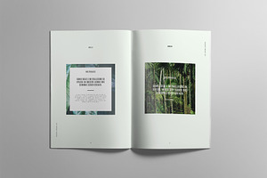 RAINFOREST Brochure / Portfolio