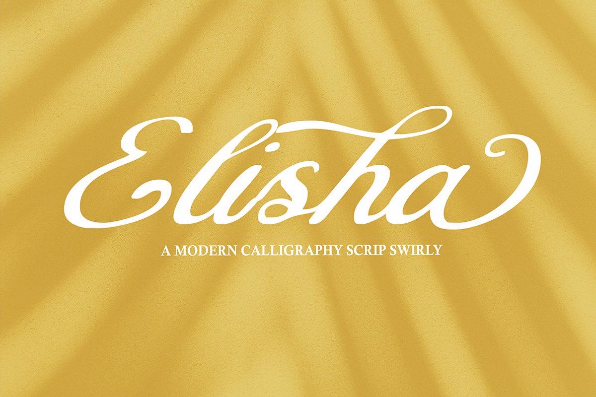 Elisha Script, a Script Font by Gatype (Photo 1 of 7)