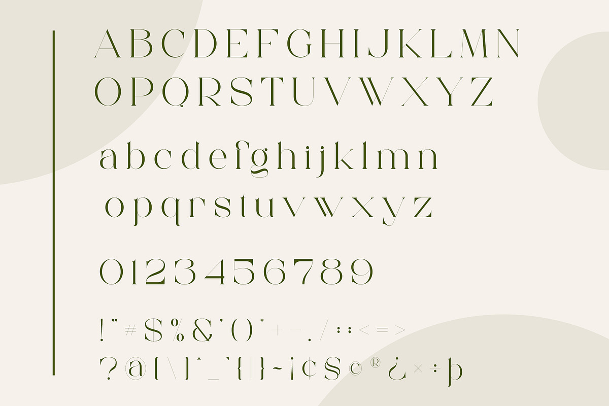 Megita - Beautiful Serif Font, a Serif Font by Aqeel_Art (Photo 10 of 12)