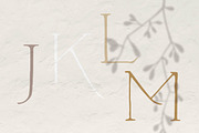 Unlikely Lily - A Hand-Drawn Serif, a Serif Font by Brackish Creative (Thumbnail 5 of 5)