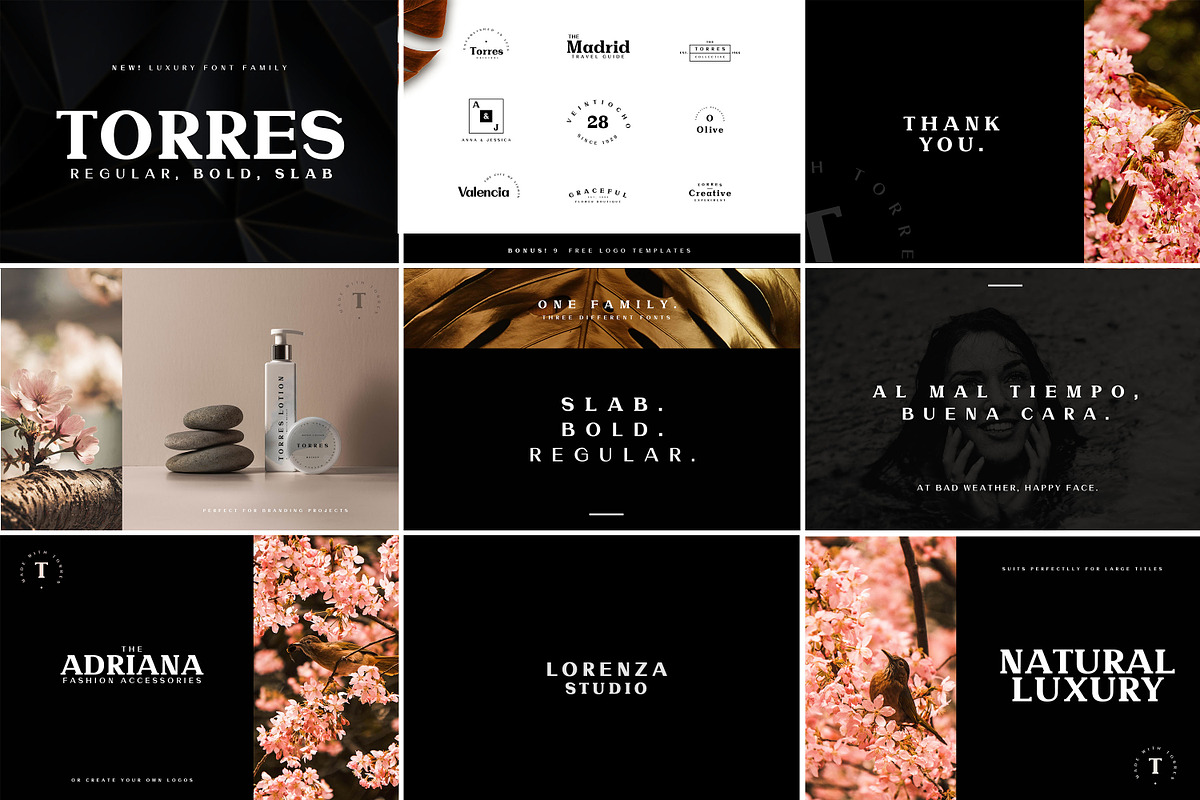 Modern & Elegant Font Bundle, a Script Font by AndrewPixel (Photo 14 of 25)