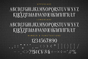 Roxante - Modern Serif Font, a Serif Font by Almeera Std (Thumbnail 5 of 6)