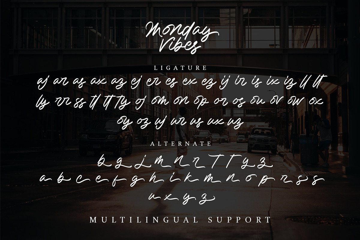 Monday Vibes - Modern Script Font, a Script Font by Alpaprana (Photo 13 of 14)