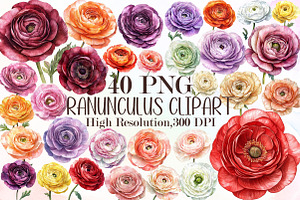 Watercolor Ranunculus Clipart, an Illustration by Sublimation Artist