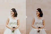 Tangerine Presets - Lightroom & ACR, an Action Add-On by Presetrain Co. (Thumbnail 11 of 12)
