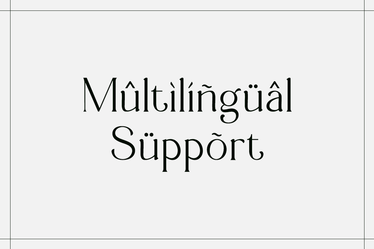 Figurative - Elegant Serif Font, a Serif Font by RockboyStd (Photo 11 of 12)