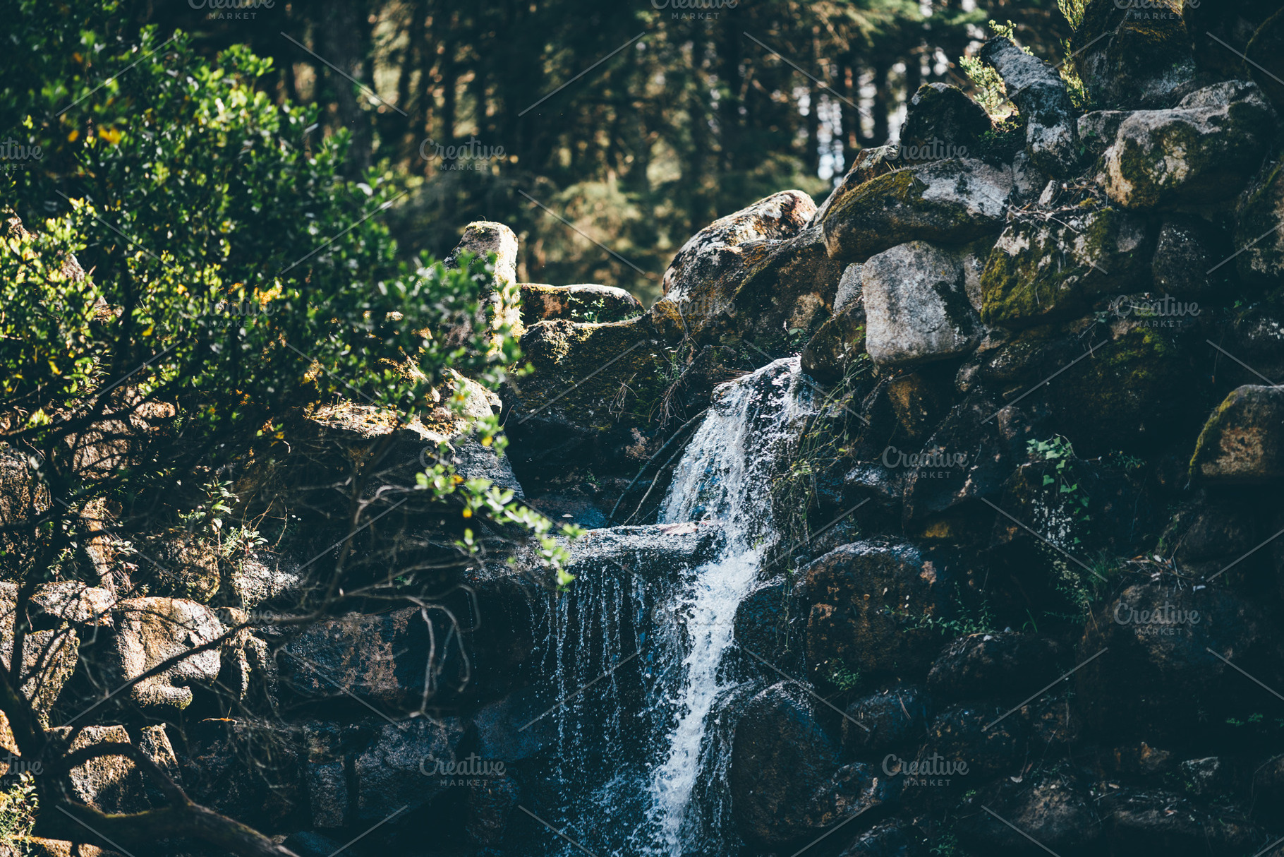 Mossy waterfall in Sintra forest, a Nature Photo by SkyNext