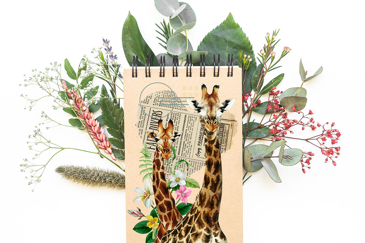 Vintage Collage Creator 99+ Elements, an Illustration by DigitalDesignAI (Photo 6 of 28)