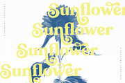 Canastra - Retro Serif, a Serif Font by Ivan Rosenberg (Thumbnail 2 of 23)