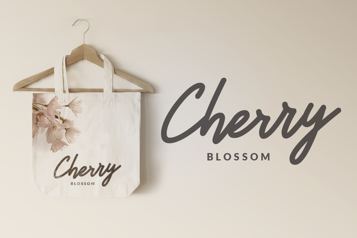 Sakura Font Family 25% OFF preview 4