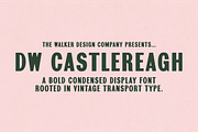 DW Castlereagh - Vintage Font, a Handwritten Font by Walker Design Co. (Thumbnail 1 of 7)
