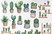 Watercolor Cactus Clipart PNG, an Object Illustration by PatternPalette (Thumbnail 2 of 3)