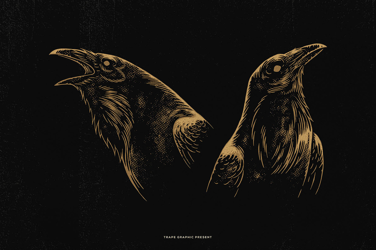 Crow Raven Illustrations pack, an Animal Illustration by Trape Graphic Studio (Photo 4 of 7)