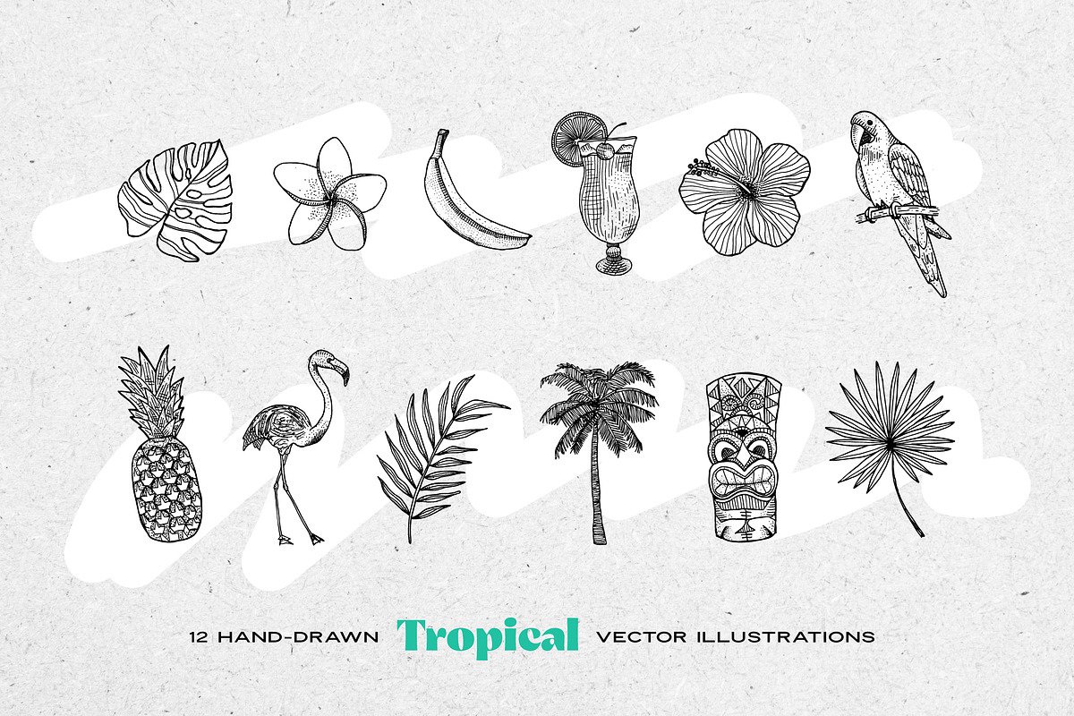 Tropical Leaves & Illustration Pack, a Food Illustration by Galaxybomb (Photo 2 of 4)