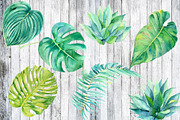 Watercolor animals, leafs, birds, an Animal Illustration by Watercolor arts (Thumbnail 6 of 6)