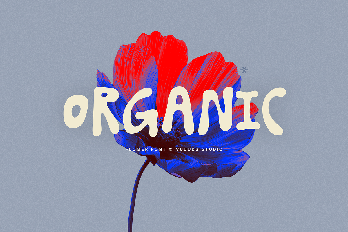 Flomer, a Sans Serif Font by vuuuds (Photo 5 of 8)