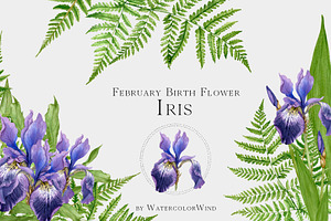 Watercolor Iris Birth Flower Clipart