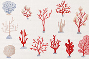 6 Coral Reef Patterns, a Pattern Graphic by Petite Salade (Thumbnail 8 of 9)