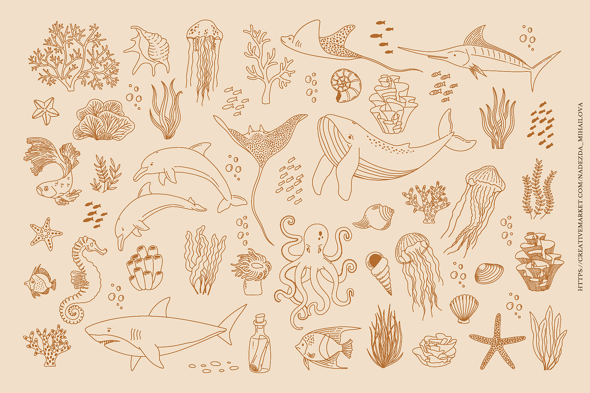 Sea Life Collection, an Animal Illustration by Nadezhda Mikhailova (Photo 14 of 18)