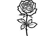 Rose Silhouette File Bundle, a Decorative Illustration by Designer_Momina (Thumbnail 6 of 21)