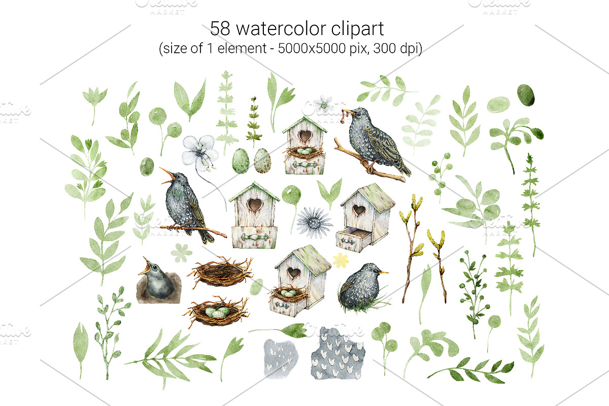 Starling family, spring bird, plants, an Animal Illustration by Artmanata (Photo 4 of 16)