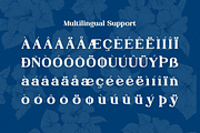 Szysa Jasteri Display Typeface Serif, a Serif Font by Denustudios (Thumbnail 11 of 12)