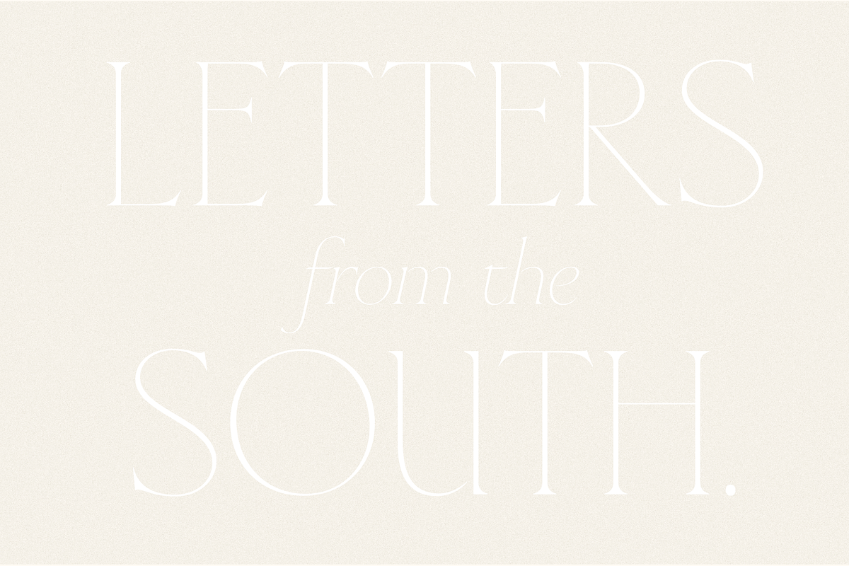 Cedarwood - Classy Serif, a Serif Font by Harmonais Visual (Photo 7 of 19)