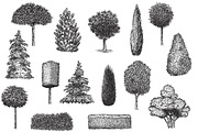Hand drawn plants, an Object Illustration by CGterminal (Thumbnail 3 of 7)