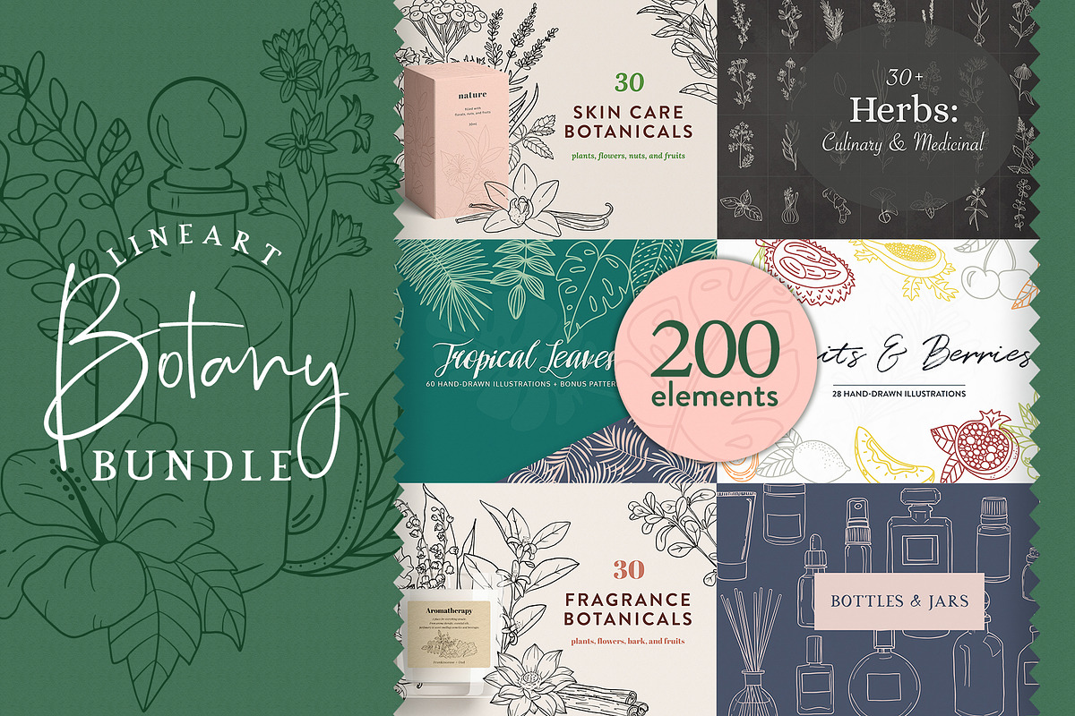 BOTANY BUNDLE - 6in1, a Food Illustration by amber&ink (Photo 1 of 19)