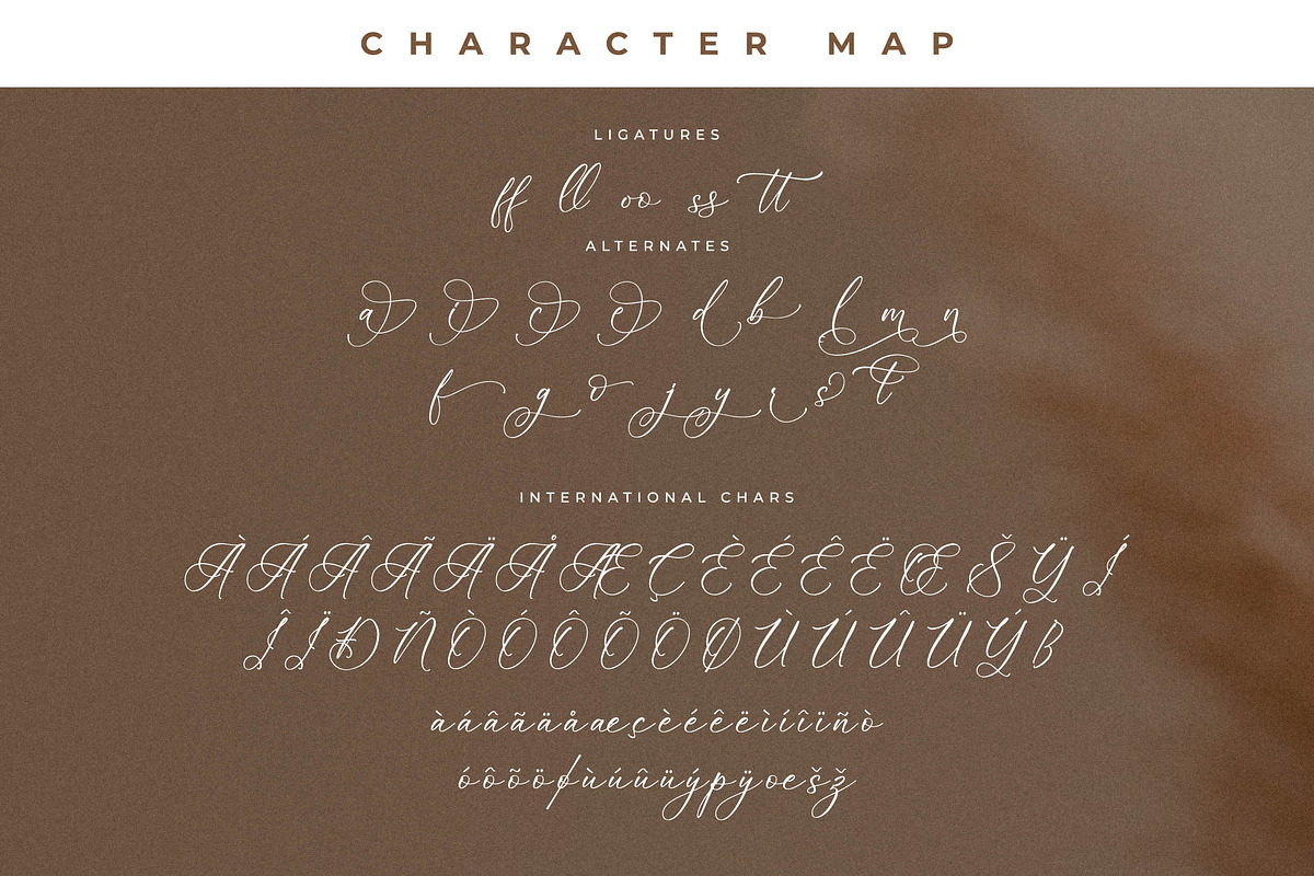 Enchanted Hermion Font Duo, a Serif Font by Storytype Studio (Photo 14 of 15)