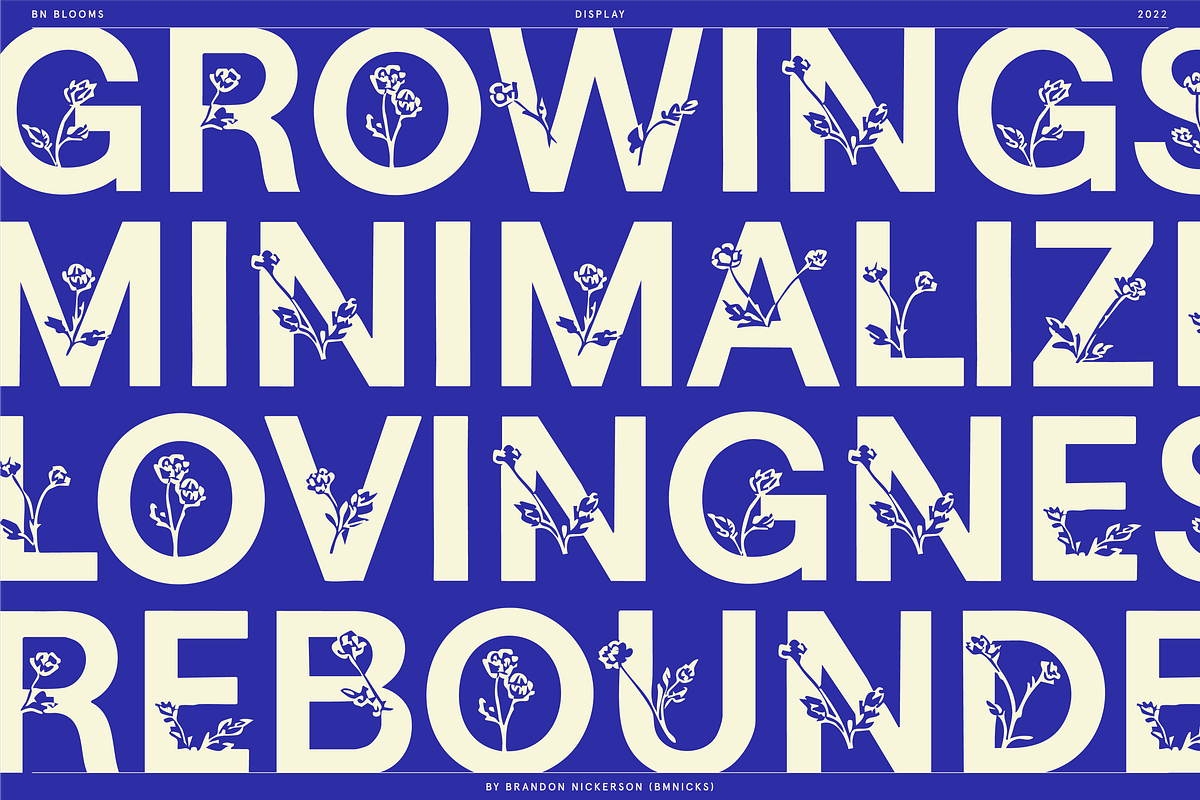 BN Blooms, a Sans Serif Font by Bnick (Photo 9 of 17)