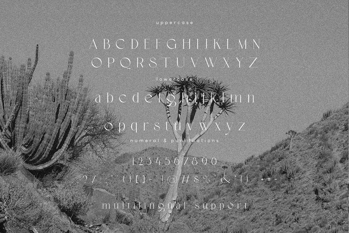 Corigo Elegant Font, a Serif Font by Hishand Studio (Photo 8 of 10)