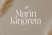 Bailey - Classy Luxury Logo Font, a Serif Font by Sensatype (Thumbnail 3 of 13)