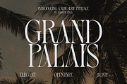 Grand Palais - Elegant Logo Font, a Serif Font by AndrewPixelType (Thumbnail 1 of 9)