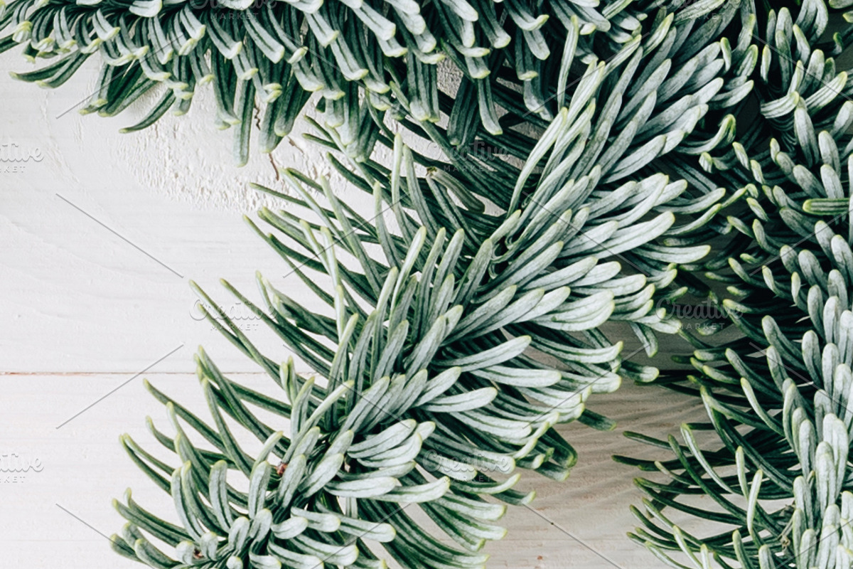 Christmas Card+30 IG Posts (+PSD), a Holiday Photo by Kate Roubin (Photo 5 of 8)