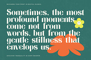 Restful Silent Modern Display Font, a Serif Font by timelesstype.co (Thumbnail 11 of 20)