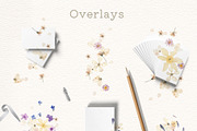 Hana Washi Seamless paper Flower PNG, a Pattern Graphic by mila_leev (Thumbnail 5 of 23)