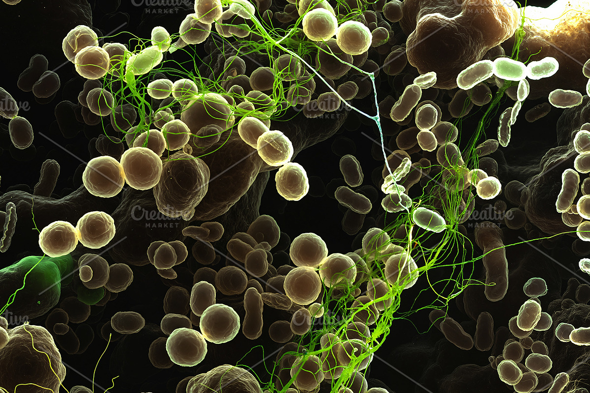 52 Fictional Microscopic Organisms, an Abstract Photo by h.utomo (Photo 8 of 52)