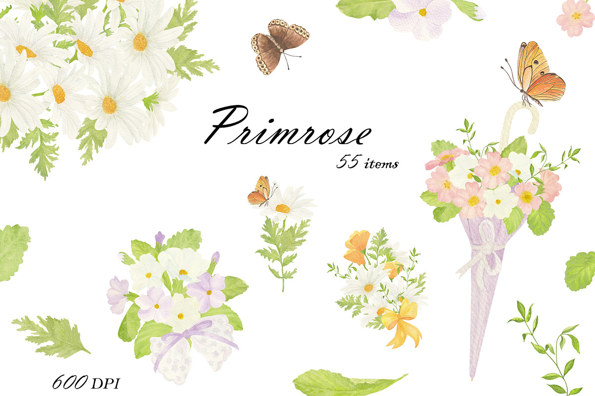 Primrose Watercolor Collection, a Decorative Illustration by Sunshine Art (Photo 1 of 8)