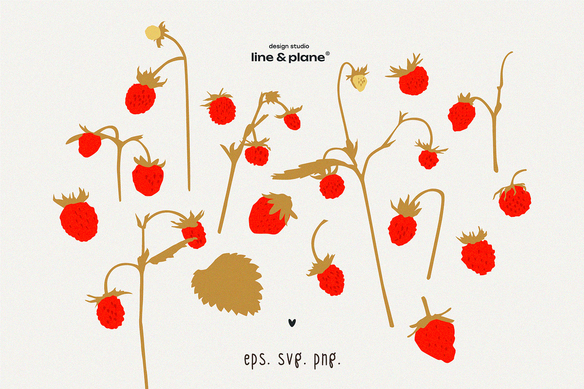 Organic Meadow Strawberries, an Object Graphic by line & plane (Photo 3 of 7)