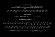 Paradise Stonelife Modern Signature, a Script Font by Letterena Studios Script (Thumbnail 14 of 15)