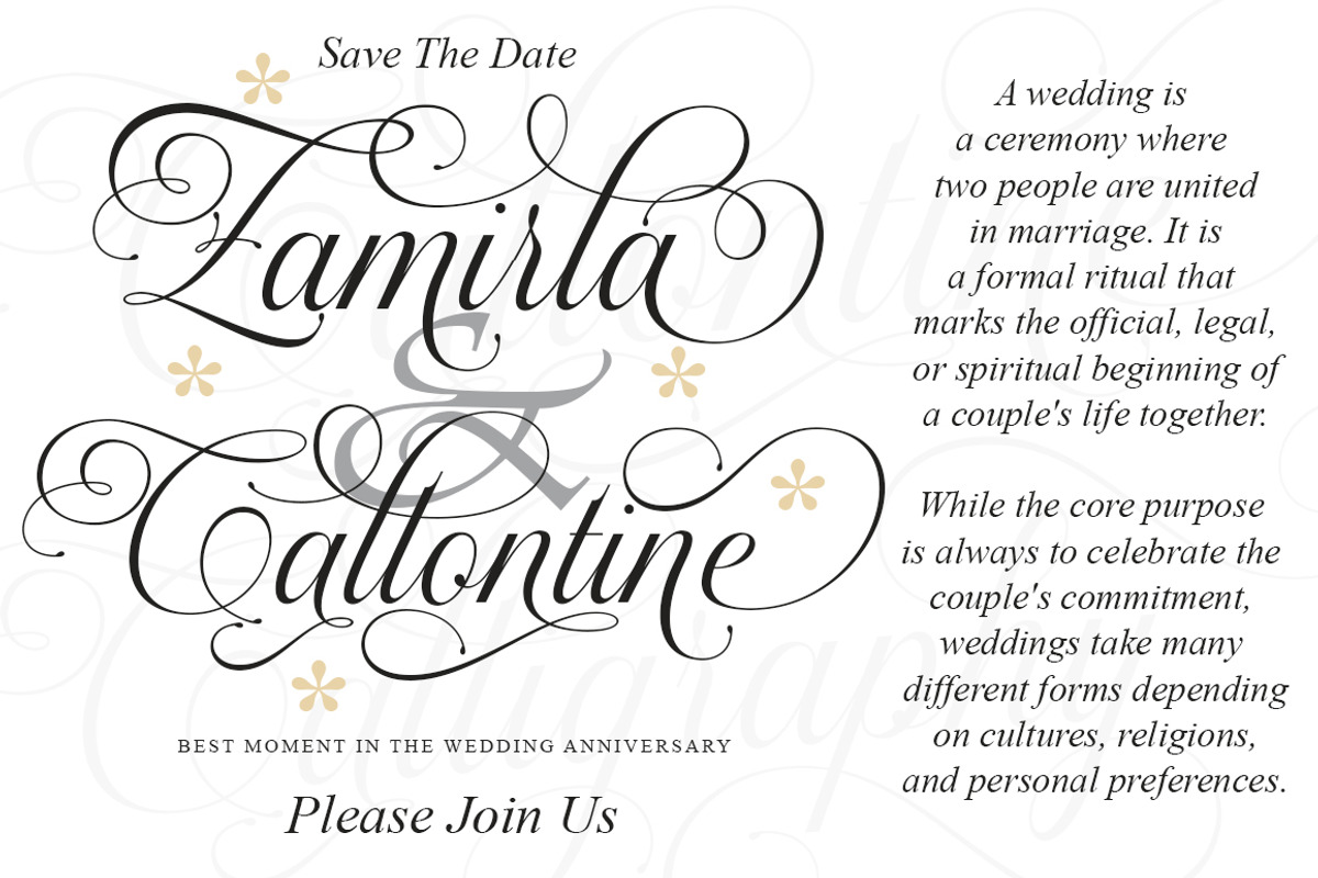 Callontine Script Pro, a Script Font by IM Studio (Photo 5 of 13)