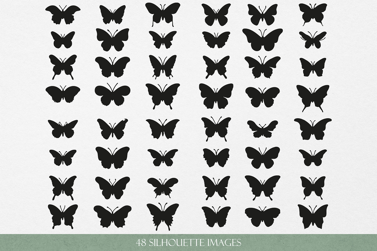 Butterfliy Line art & Silhouette SVG, an Object Graphic by Graphic Soul (Photo 3 of 3)