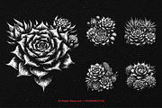 10 Bundle Dark Art Succulent Cactus, an Illustration by Morspective (Thumbnail 3 of 7)