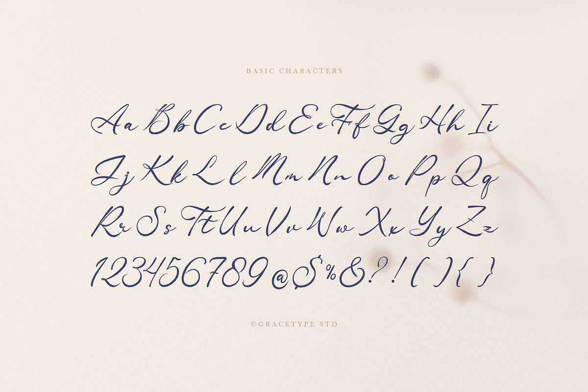 Ranuficah Elegant Calligraphy Script, a Script Font by gracetype_studio (Photo 10 of 12)