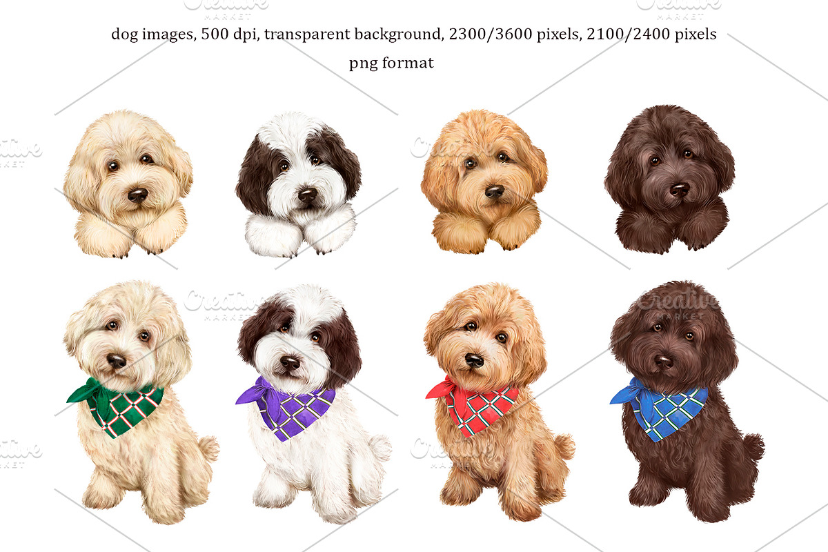 Clipart with dogs, labradoodles., an Animal Illustration by SavinV (Photo 2 of 6)