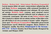 Giantus - Serif font family, a Serif Font by Artistic & Unique (Thumbnail 3 of 13)