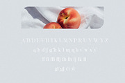 Lecouna - Modern Serif Font, a Serif Font by Jimoji (Thumbnail 12 of 12)