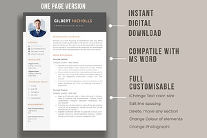 Professional Resume For Word